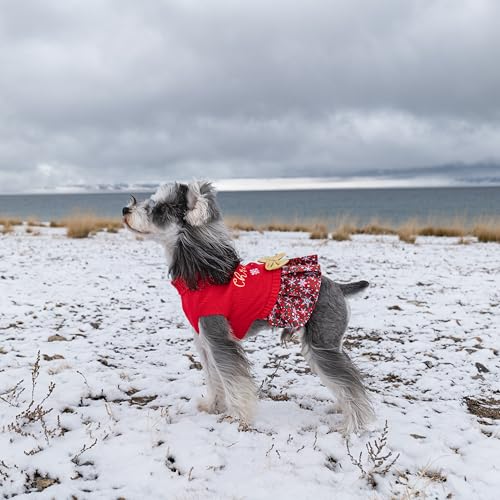 Christmas Dog Sweater Dress Turtleneck with Bowtie K9161