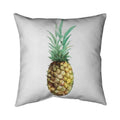 16 x 16 in. Watercolor Pineapple Pillow Cover B692