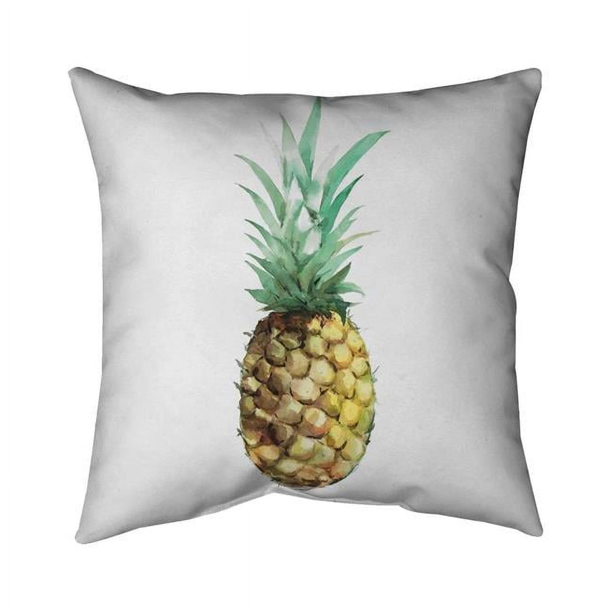 16 x 16 in. Watercolor Pineapple Pillow Cover B692