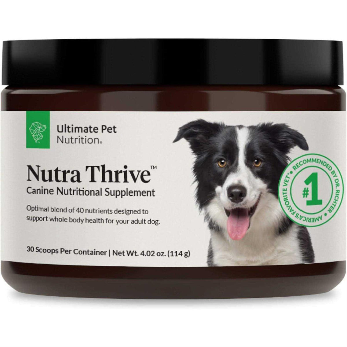 40-in-1 Multivitamin Powder Supplement for Dogs H52286