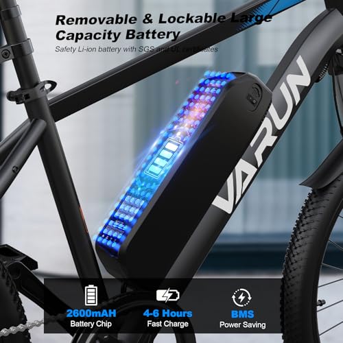Electric Bike 350W 36V Removable Battery 24'' Mountain Bike V48264