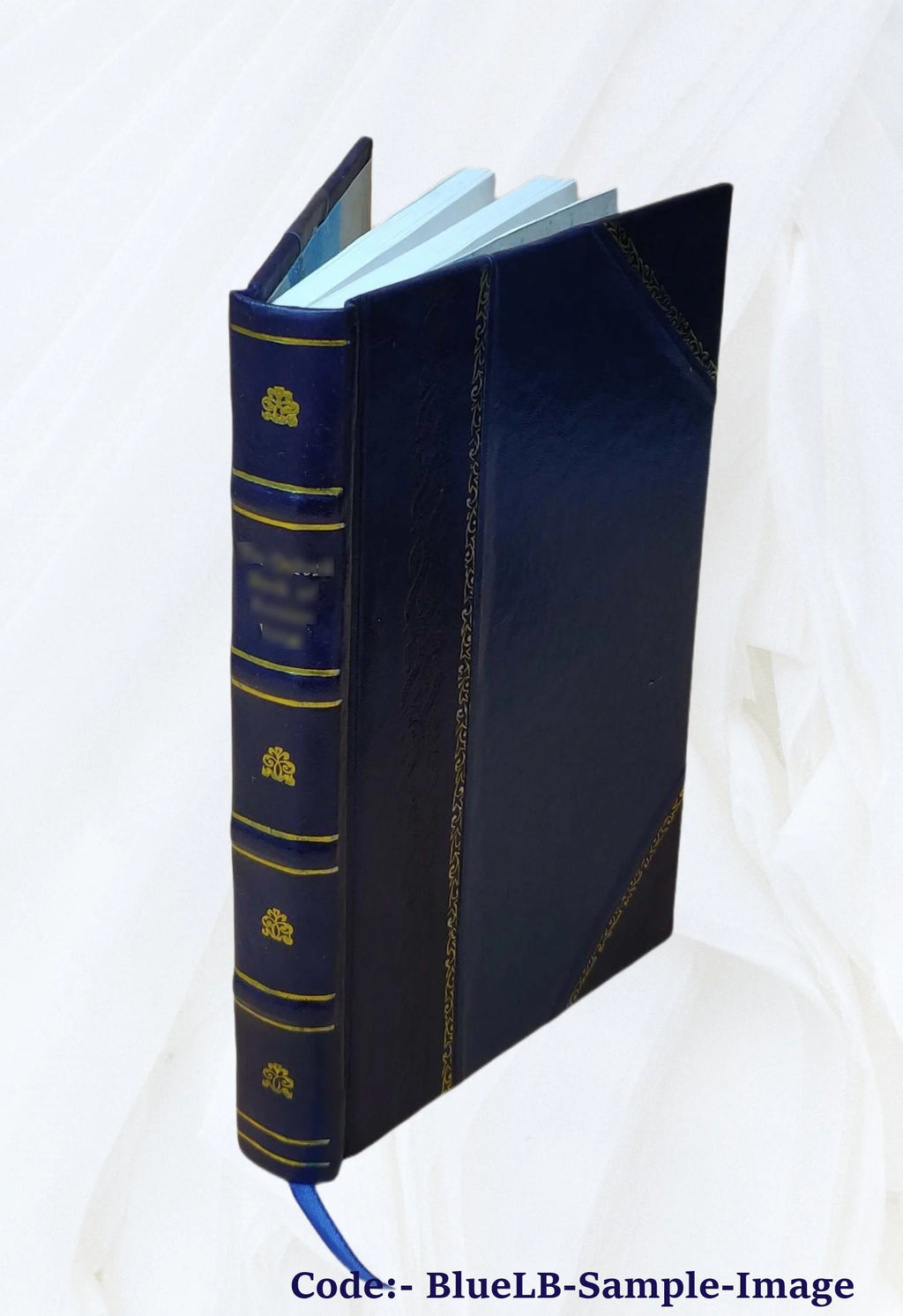Leather Bound V6213