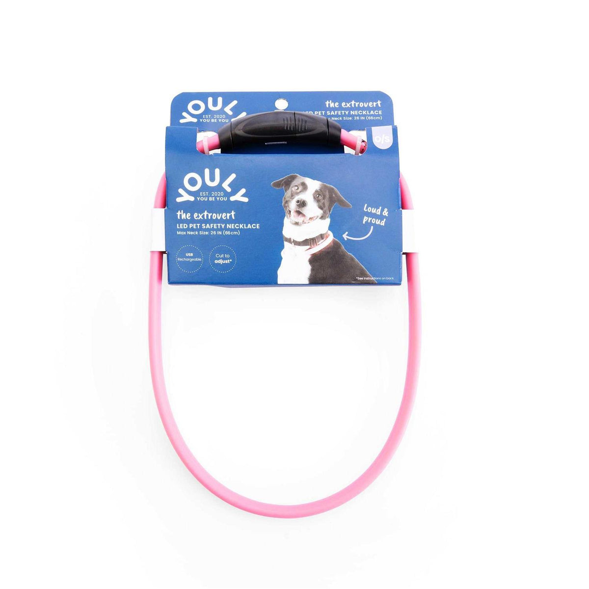 LED Pet Safety Necklace Y559