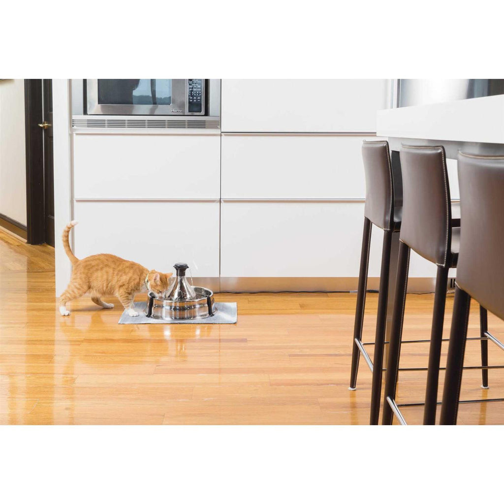 Stainless Steel Pet Fountain P541