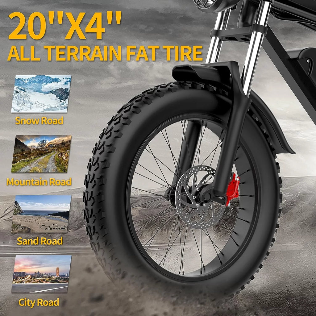 20" Fat Tire 1000W Electric Bike with Removable 48V/20Ah Battery Q674