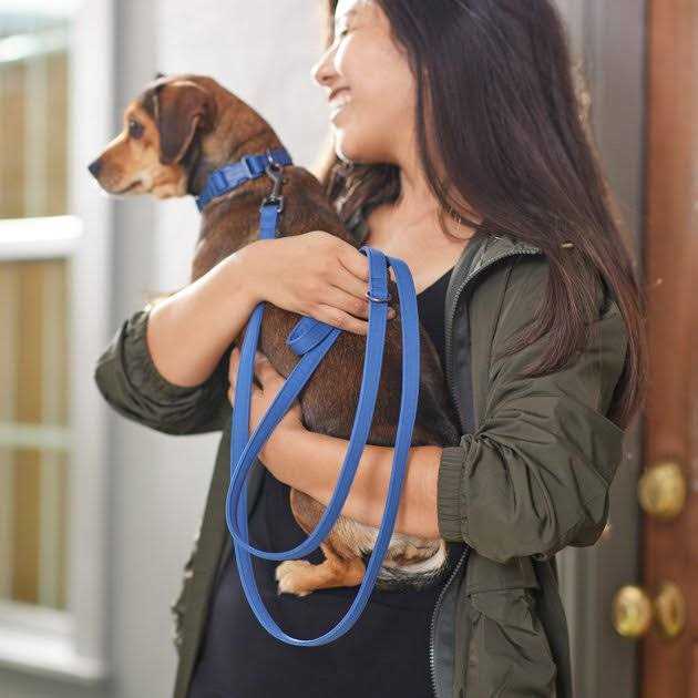Padded Dog Leash X242