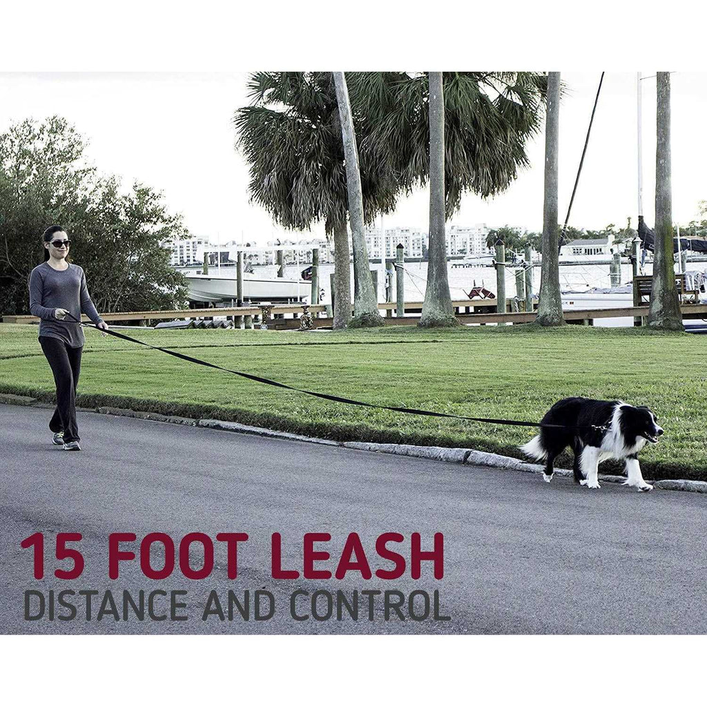 10 Foot Dog Leash with Padded Handle D73926