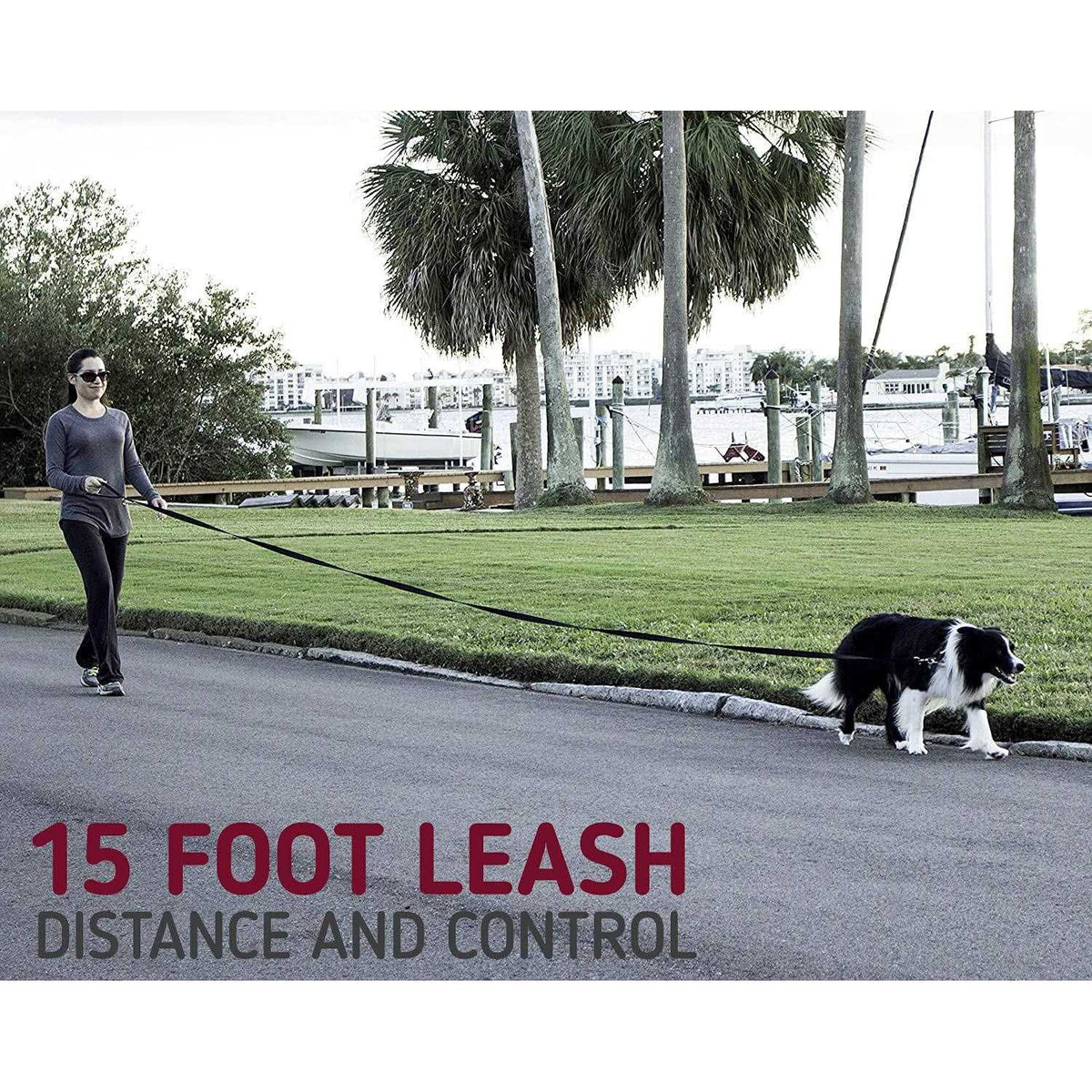 10 Foot Dog Leash with Padded Handle D73926