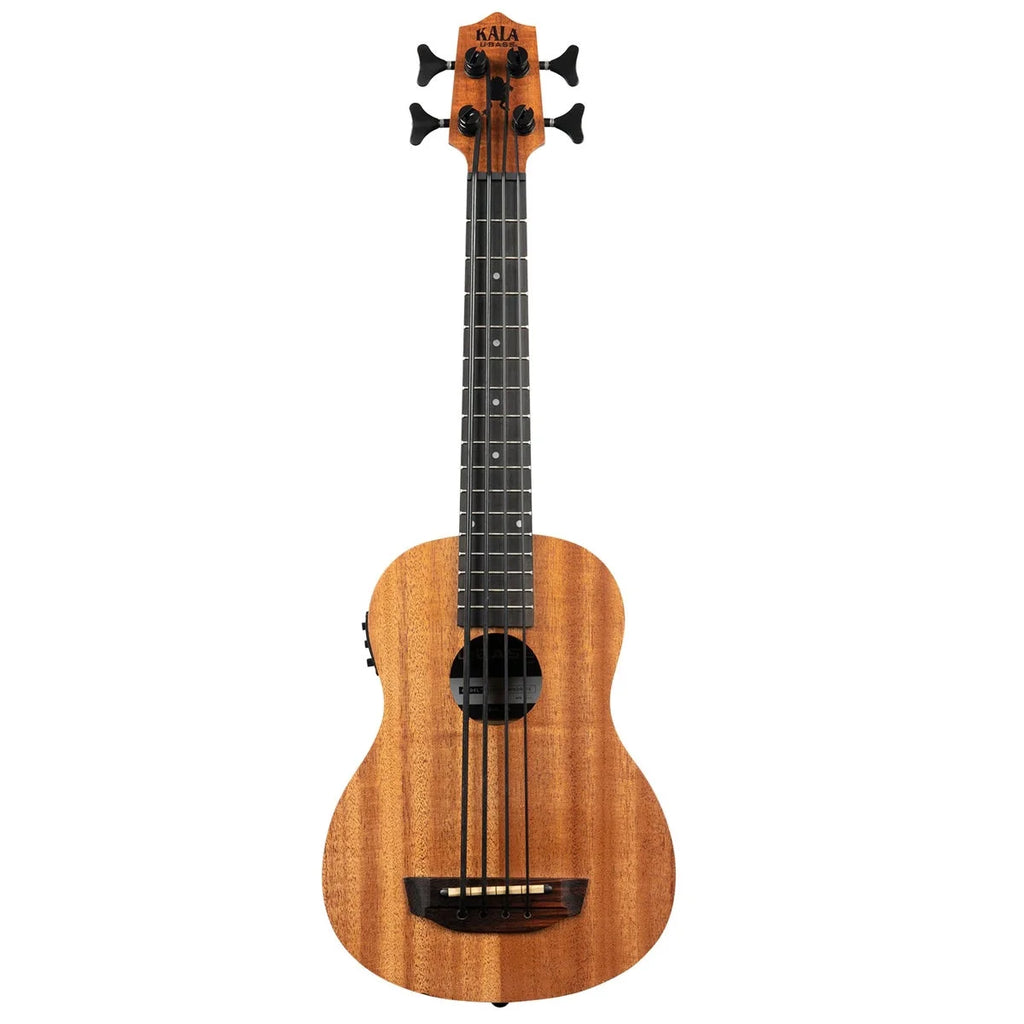 Acoustic-Electric U-BASS P173