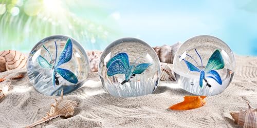 Hand Blown Glass Paperweight Y890