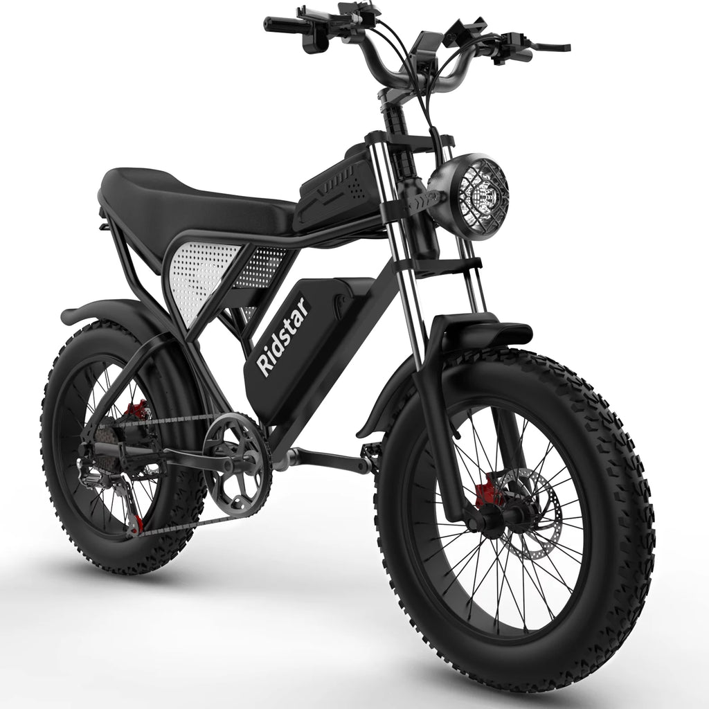 20" Fat Tire 1000W Electric Bike with Removable 48V/20Ah Battery Q674