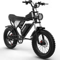 20" Fat Tire 1000W Electric Bike with Removable 48V/20Ah Battery Q674
