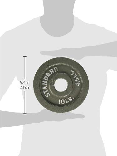 Gray Olympic Weight Plates U8452