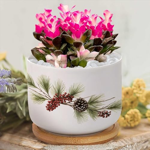 Blue and White Porcelain Ceramic Planters with Bamboo Trays O79293