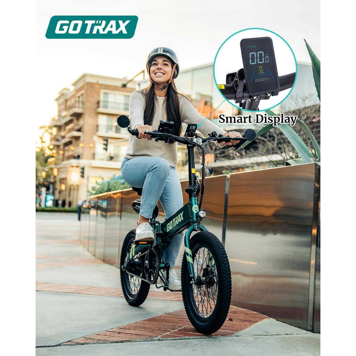 Folding Electric Bike I298