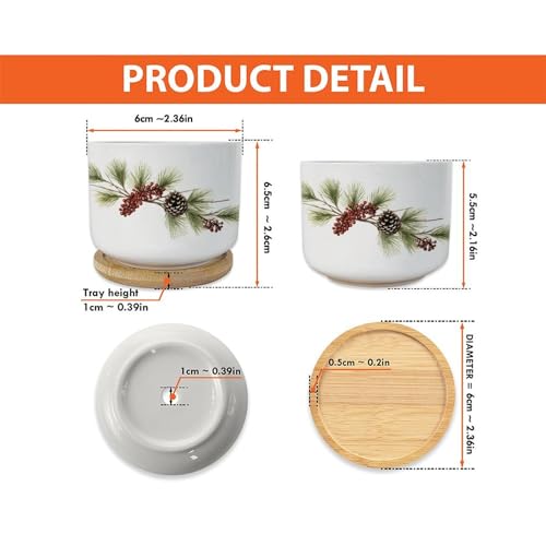 Blue and White Porcelain Ceramic Planters with Bamboo Trays O79293
