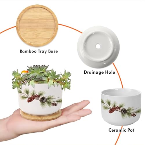 Blue and White Porcelain Ceramic Planters with Bamboo Trays O79293