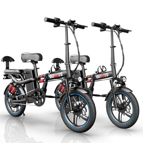 750W Folding Electric Bike with Removable Battery V9248