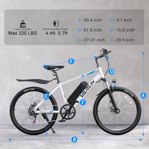 Electric Bike 350W 36V Removable Battery 24'' Mountain Bike V48264