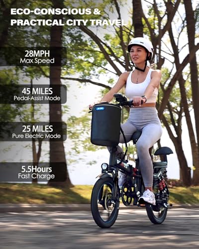 750W Folding Electric Bike with Removable Battery V9248