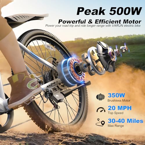 Electric Bike 350W 36V Removable Battery 24'' Mountain Bike V48264