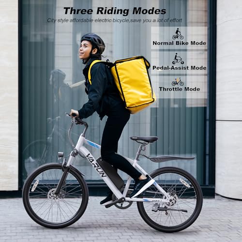 Electric Bike 350W 36V Removable Battery 24'' Mountain Bike V48264