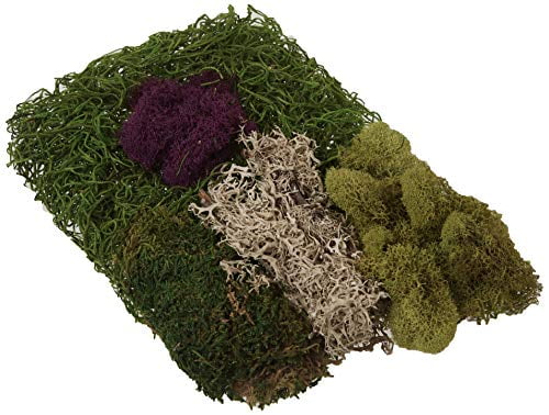 2 oz Moss Mix L629