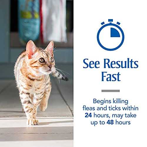 Flea and Tick Treatment for Cats K634998