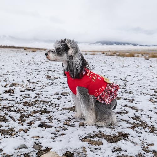 Christmas Dog Sweater Dress Turtleneck with Bowtie K9161