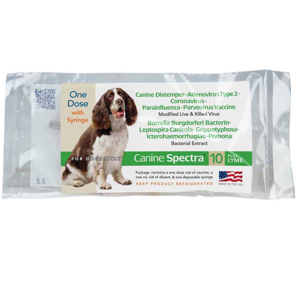 10 Plus Lyme Dog Vaccine 1 Dose Y922