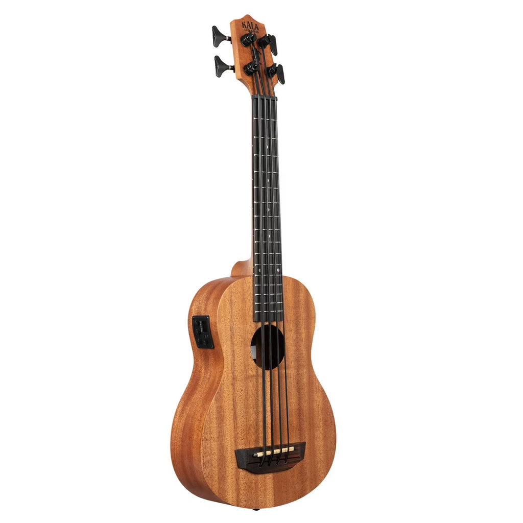 Acoustic-Electric U-BASS P173