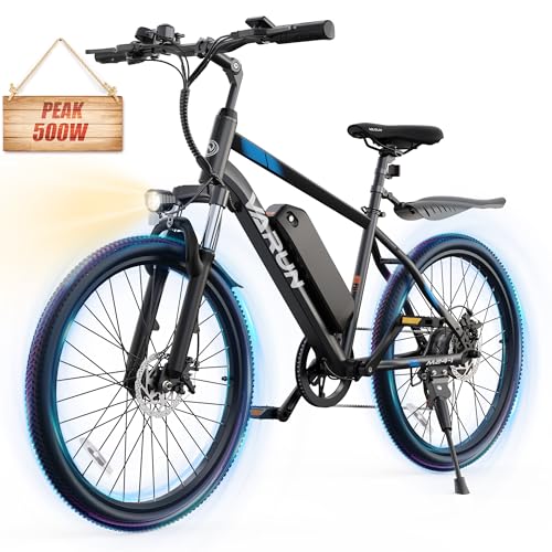 Electric Bike 350W 36V Removable Battery 24'' Mountain Bike V48264
