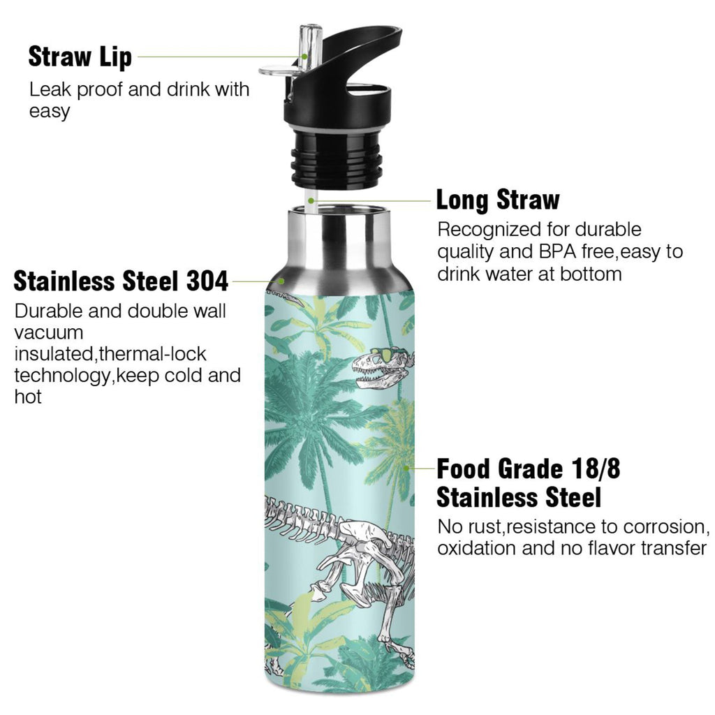 Stainless Steel Insulated Water Bottle with Straw Lid C971