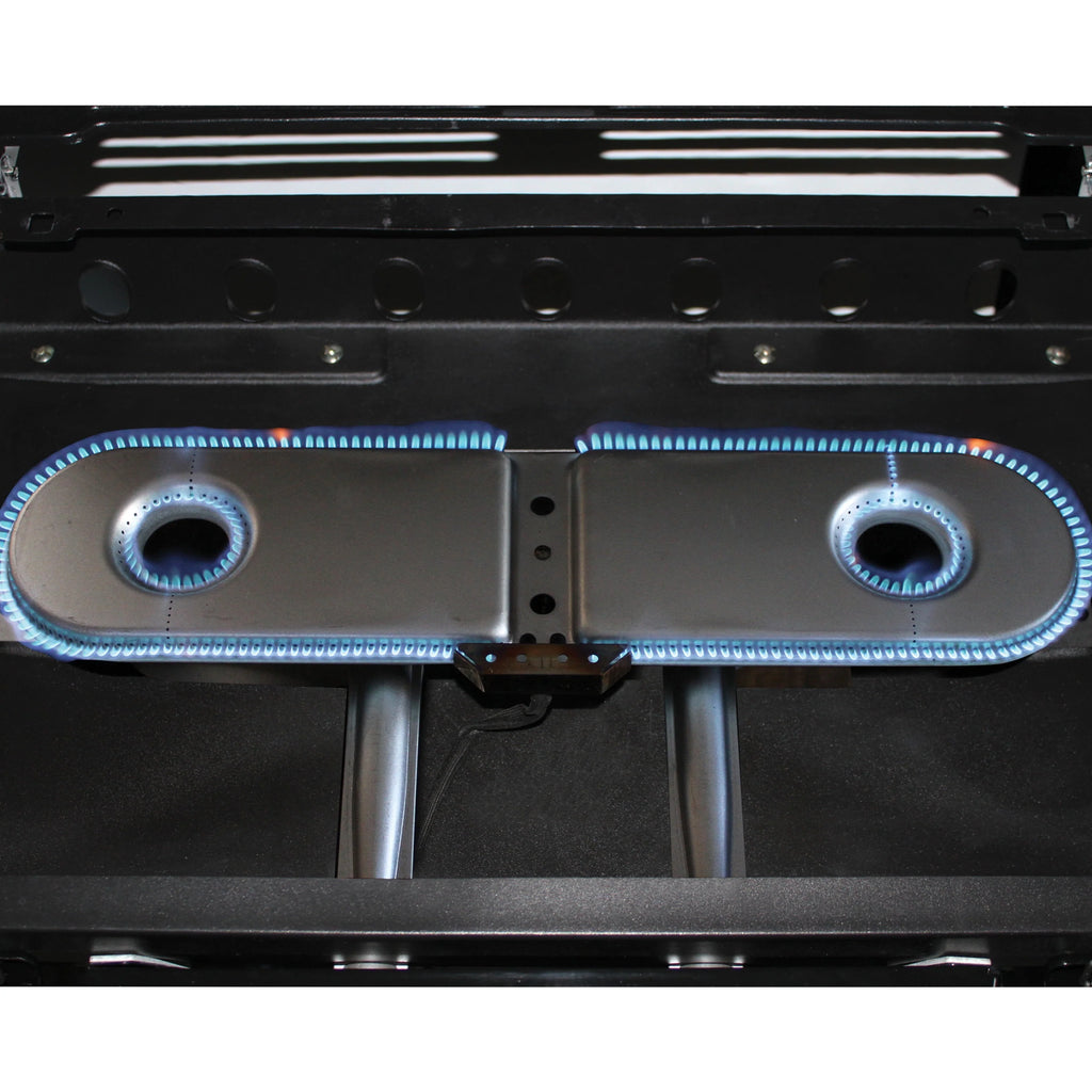 2 Burner Propane Gas Portable Grill Y1995