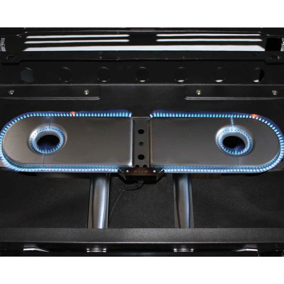 2 Burner Propane Gas Portable Grill Y1995