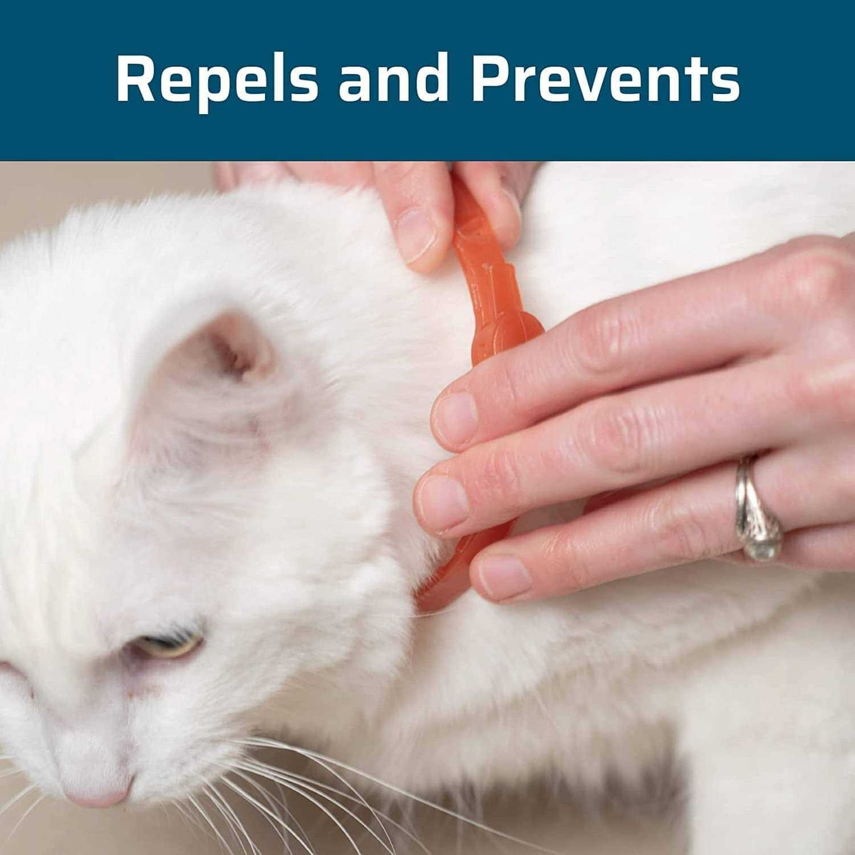 Flea & Tick Collar for Cats G8496