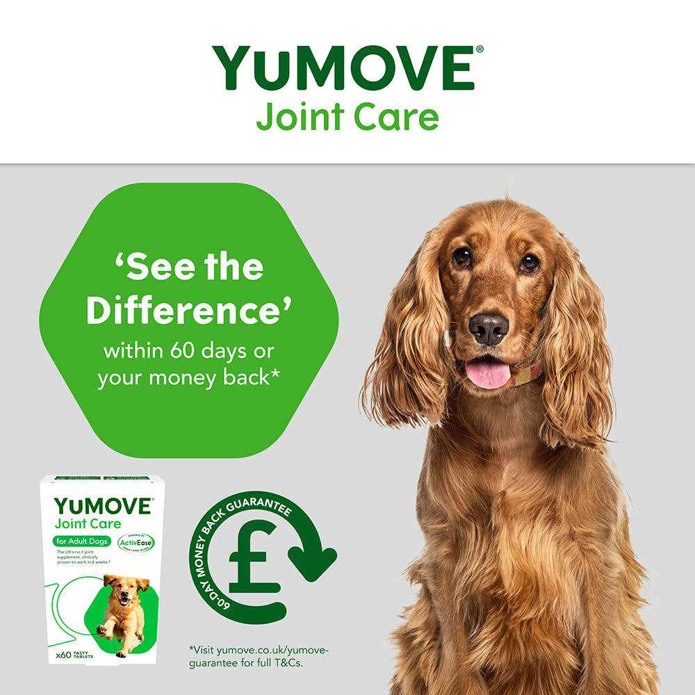 Dog Joint Tablets N586603