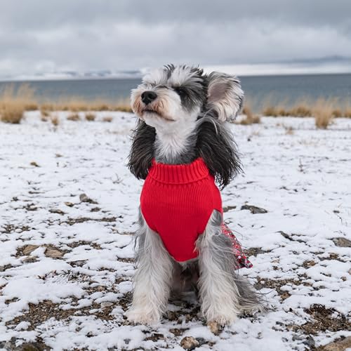 Christmas Dog Sweater Dress Turtleneck with Bowtie K9161