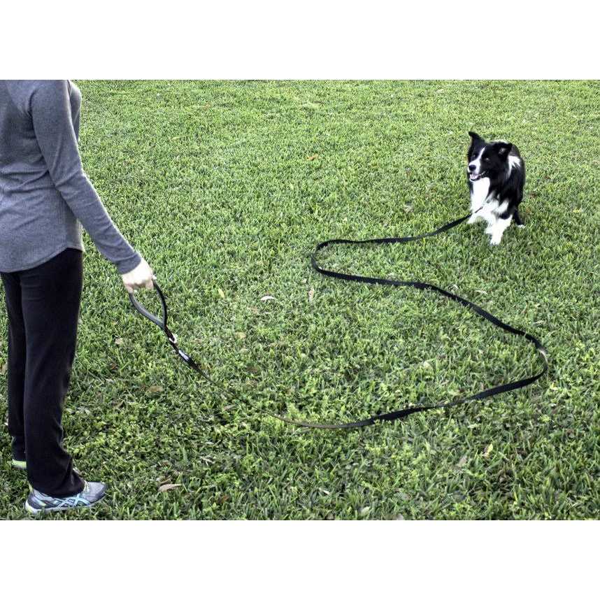 10 Foot Dog Leash with Padded Handle D73926