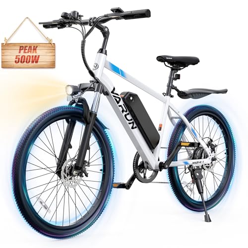 Electric Bike 350W 36V Removable Battery 24'' Mountain Bike V48264