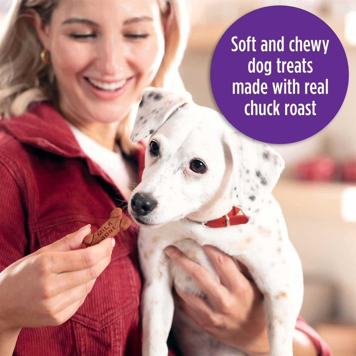 Soft & Chewy Beef Dog Treats V62575