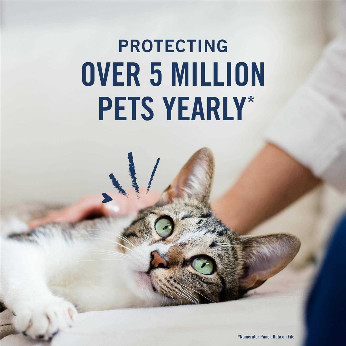 Flea and Tick Treatment for Cats K634998