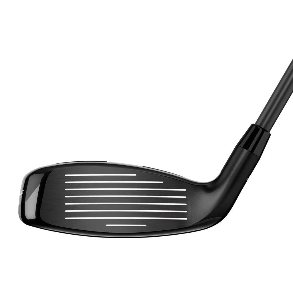 Hybrid U489