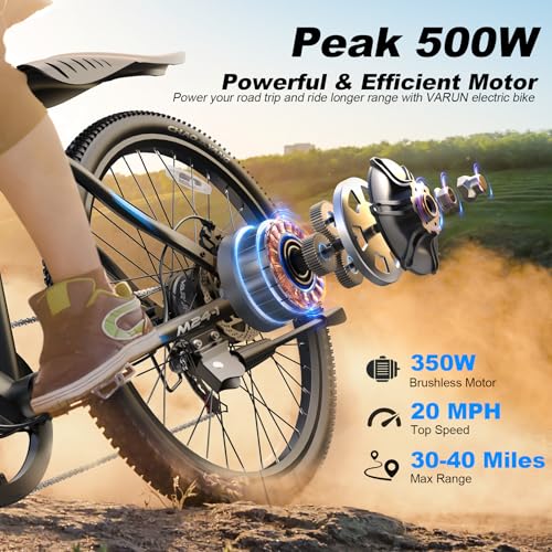 Electric Bike 350W 36V Removable Battery 24'' Mountain Bike V48264